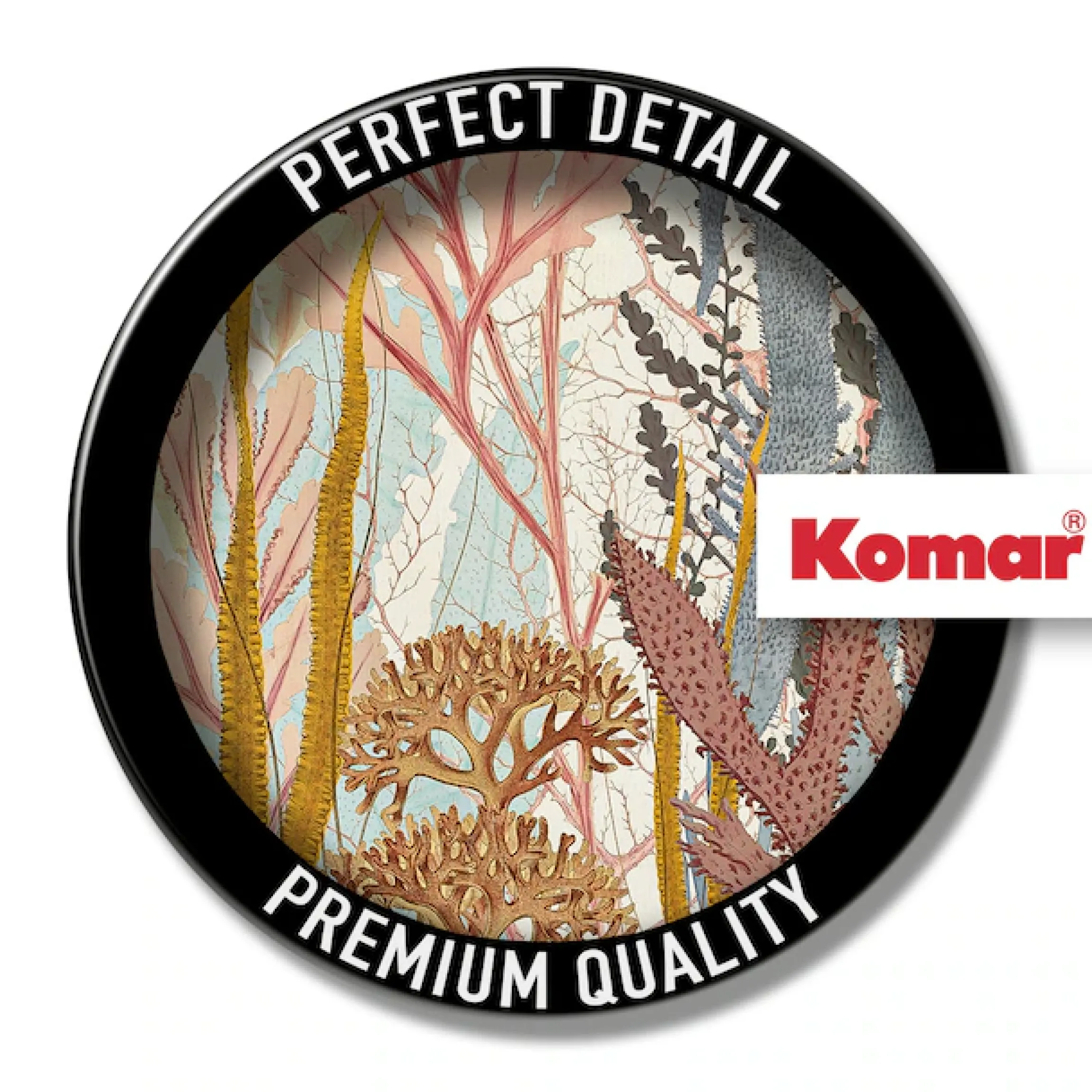 Komar Leinwandbild »Coral Aqua - Größe 30 x 40 cm« Natur 1 Stk. tlg. Keilrahmenbild mi Echtholzrahmen
