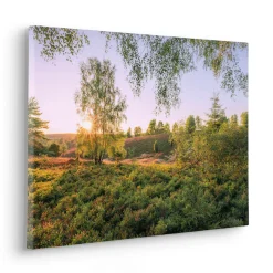 Komar Leinwandbild »Sommerabend - Größe 60 x 40 cm« Baum | Berge | Blumen | Blätter | Foto | Jahreszeiten | Landschaft | Meer