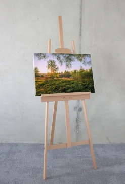 Komar Leinwandbild »Sommerabend - Größe 60 x 40 cm« Baum | Berge | Blumen | Blätter | Foto | Jahreszeiten | Landschaft | Meer