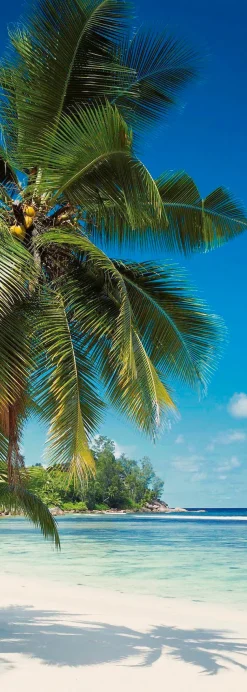 Komar Vliestapete »Digitaldruck Vlies -Coconut Bay - Größe 100 x 280 cm« bedruckt glatt Wohnzimmer, Schlafzimmer