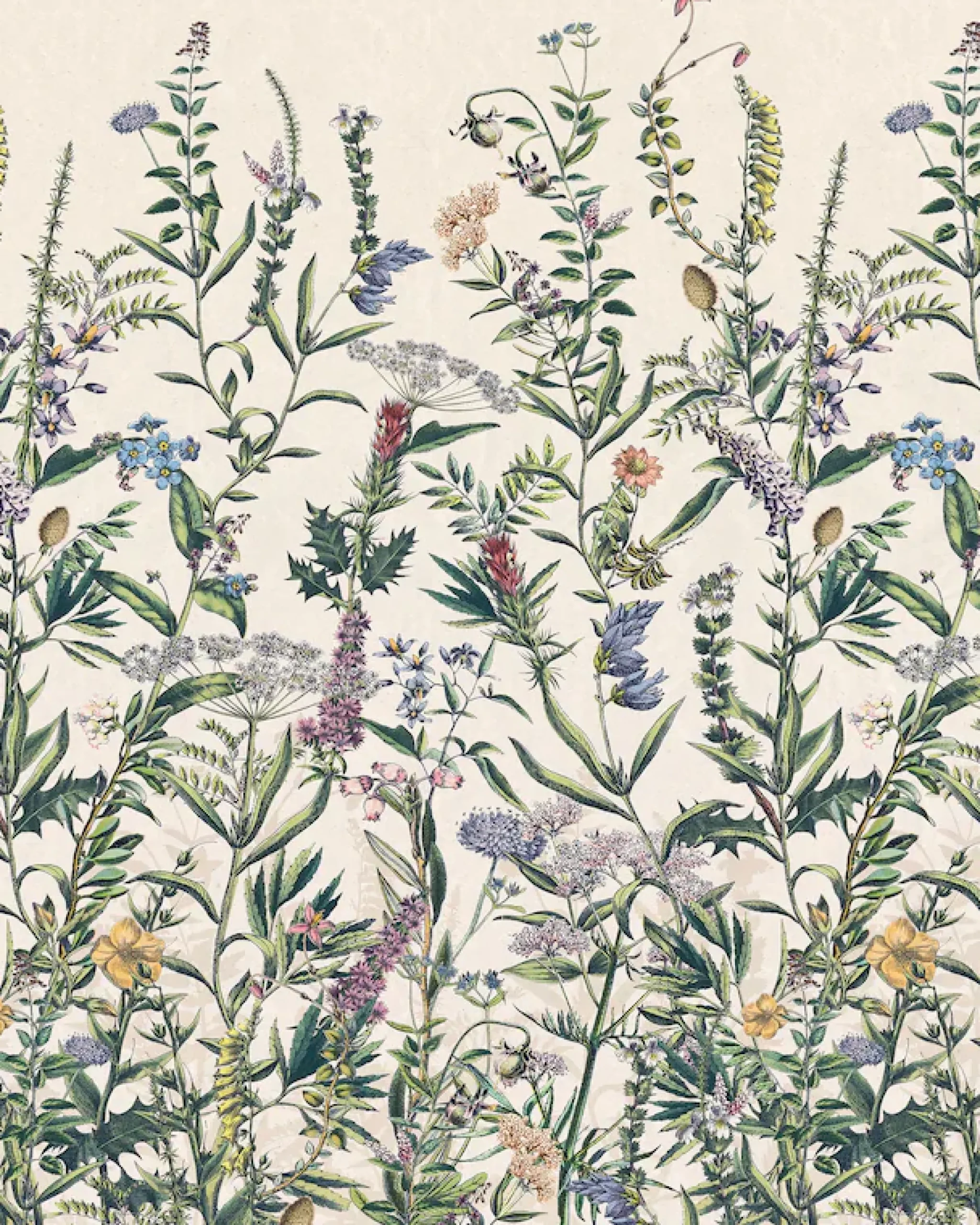 Komar Vliestapete »Digitaldruck Vlies -Flowering Herbs - Größe 200 x 250 cm« bedruckt glatt Wohnzimmer, Schlafzimmer