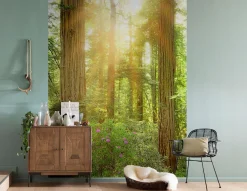 Komar Vliestapete »Digitaldruck Vlies -Redwood - Größe 200 x 260 cm« bedruckt glatt Wohnzimmer, Schlafzimmer
