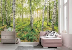 Komar Vliestapete »Digitaldruck Vlies -Birch Trees - Größe 400 x 250 cm« bedruckt glatt Wohnzimmer, Schlafzimmer