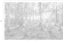 Komar Vliestapete »Digitaldruck Vlies -Birch Trees - Größe 400 x 250 cm« bedruckt glatt Wohnzimmer, Schlafzimmer