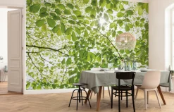 Komar Vliestapete »Digitaldruck Vlies -Im Frühlingswald - Größe 250 x 280 cm« bedruckt glatt Wohnzimmer, Schlafzimmer
