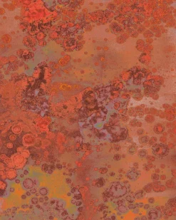 Komar Vliestapete »Digitaldruck Vlies -Patina - Größe 200 x 250 cm« bedruckt glatt Wohnzimmer, Schlafzimmer