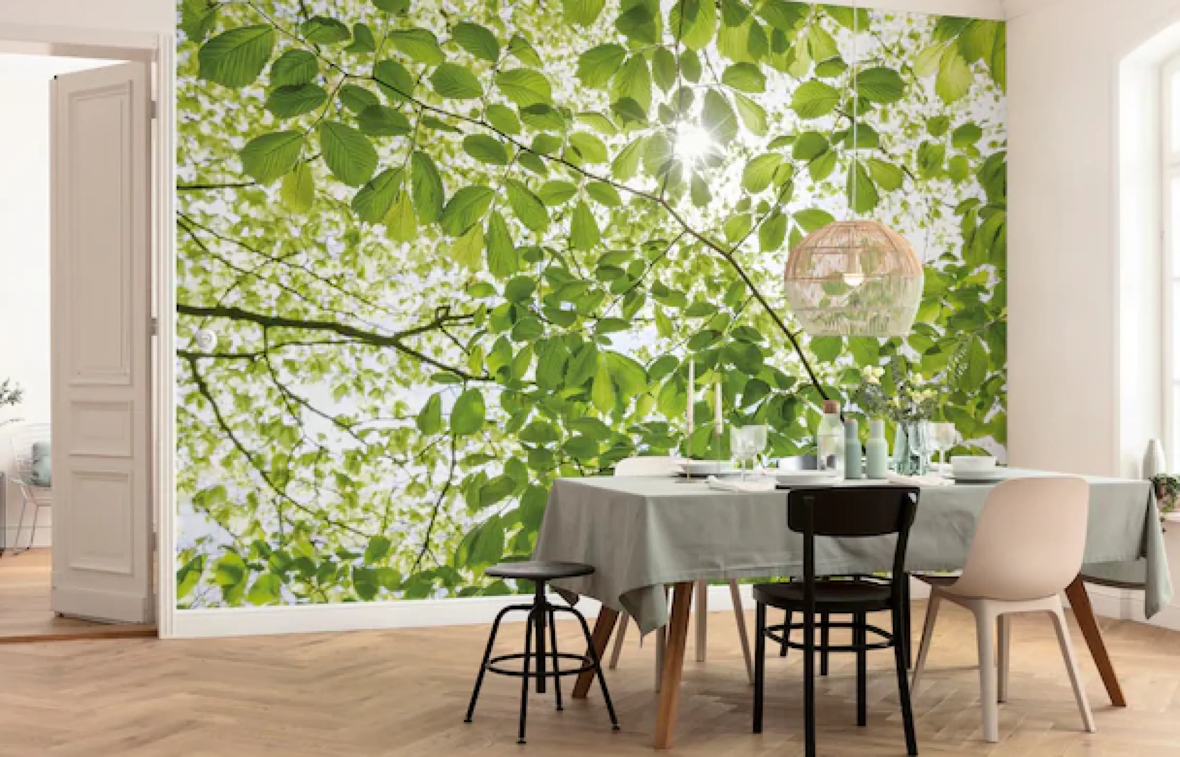 Komar Vliestapete »Digitaldruck Vlies -Im Frühlingswald - Größe 450 x 280 cm« bedruckt glatt Wohnzimmer, Schlafzimmer