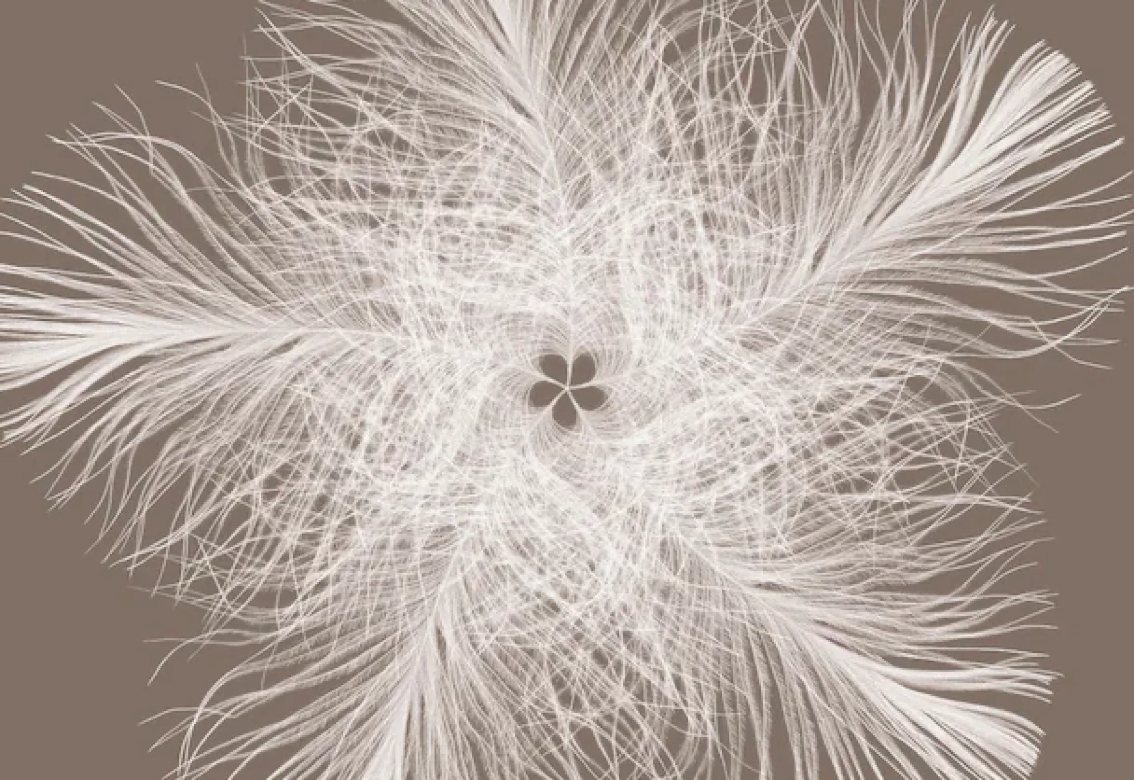 Komar Vliestapete »Vlies- Federstern - Größe 368 x 248 cm« bedruckt glatt Wohnzimmer, Schlafzimmer