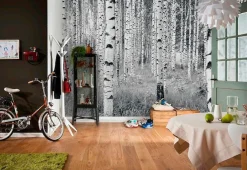 Komar Vliestapete »Vlies- Woods - Größe 368 x 248 cm« bedruckt glatt Wohnzimmer, Schlafzimmer