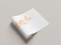 Lüttenhütt Bild mit Rahmen »oder Poster, Hase mit Spielzeugauto« Fantasy | Tiere 1 Stk. tlg. HD Premium Druck