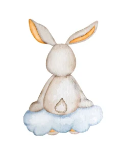 Lüttenhütt Bild mit Rahmen »oder Poster, Hase auf Wolke« Fantasy | Tiere 1 Stk. tlg. HD Premium Druck