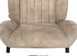 OMG Design Esszimmerstuhl »Canberra« (Set) 1 Stk.Esszimmerstuhl, pflegeleichter Samtvelour Bezug
