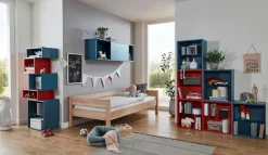 OPTIFIT Hängeregal »Mini« mit Glaseinlegeboden