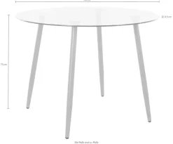 OTTO home Essgruppe »Miller« Set, 5 Stk. tlg. Glastisch mit 4 Stühlen (Kunststoffschale)