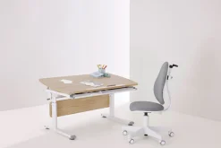 PAIDI Kinderschreibtisch »DIEGO CURVED, Schülerschreibtisch, mitwachsend, ergonomisch« stufenlos höhenverstellbar, Tischplatte neigbar