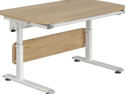 PAIDI Kinderschreibtisch »DIEGO CURVED, Schülerschreibtisch, mitwachsend, ergonomisch« stufenlos höhenverstellbar, Tischplatte neigbar