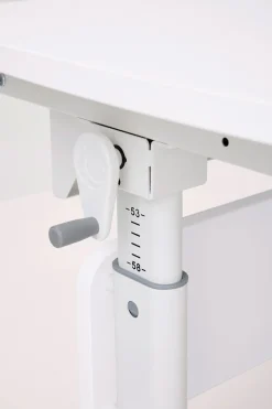 PAIDI Kinderschreibtisch »DIEGO CURVED, Schülerschreibtisch, mitwachsend, ergonomisch« stufenlos höhenverstellbar, Tischplatte neigbar