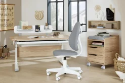 PAIDI Kinderschreibtisch »DIEGO CURVED, Schülerschreibtisch, mitwachsend, ergonomisch« stufenlos höhenverstellbar, Tischplatte neigbar