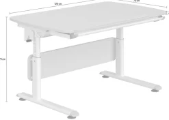 PAIDI Kinderschreibtisch »DIEGO CURVED, Schülerschreibtisch, mitwachsend, ergonomisch« stufenlos höhenverstellbar, Tischplatte neigbar