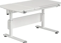 PAIDI Kinderschreibtisch »DIEGO CURVED GT, Schülerschreibtisch, ergonomisch, mitwachsend« stufenlos höhenverstellbar, geteilte Tischplatte neigbar