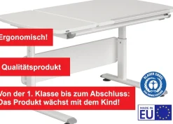 PAIDI Kinderschreibtisch »DIEGO CURVED GT, Schülerschreibtisch, ergonomisch, mitwachsend« stufenlos höhenverstellbar, geteilte Tischplatte neigbar