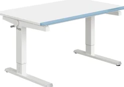 PAIDI Schreibtisch »TEENIO in verschiedenen Ausführungen, mitwachsend & ergonomisch« B/H/T ca. 120/53-79/75 cm, Kreideweiß,höhenverstellbarer Schülerschreibtisch, Platte bis 14° neigbar