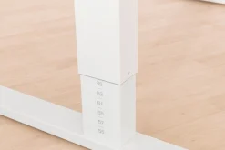PAIDI Schreibtisch »TEENIO in verschiedenen Ausführungen, mitwachsend & ergonomisch« B/H/T ca. 120/53-79/75 cm, Kreideweiß,höhenverstellbarer Schülerschreibtisch, Platte bis 14° neigbar