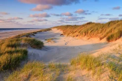 Papermoon Fototapete »Dunes Sunset« bedruckt glatt