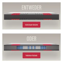 Paradies Kaltschaummatratze »Neuheit: Paradies Prolife Supreme, Testsieger Stiftung Warentest« 22 cm hoch Raumgewicht: 35 kg/m³ 1 Stk. tlg. Note GUT (2,2), getestet in 90x200 cm, Härtegrad 3