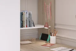 Parisot Hochbett »Alex, für 2 Kinder! Maximaler Stauraum, 2 Schreibtische« Doppeltes Hochbett, all in one Bett für 2!