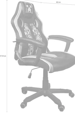 Phoenix Gaming-Stuhl () 1 Stk.grüne Absetzungen, Racing Chair