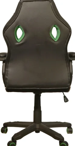 Phoenix Gaming-Stuhl () 1 Stk.grüne Absetzungen, Racing Chair