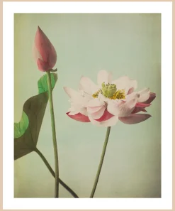 queence Bild mit Rahmen »Gudrun« Blumenbilder | Kunst Premium Rahmenbild