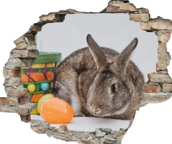queence 3D-Wandtattoo »Osterhase mit Osterkorb« Selbstklebender Wandsticker Ostern Wanddurchbruch 60x50cm