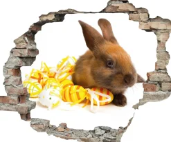 queence 3D-Wandtattoo »Osterhase und Ostereier« Selbstklebender Wandsticker Ostern Wanddurchbruch 60x50cm
