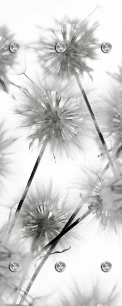 queence Garderobenleiste »Blüte« mit 6 Haken, 50 x 120 cm