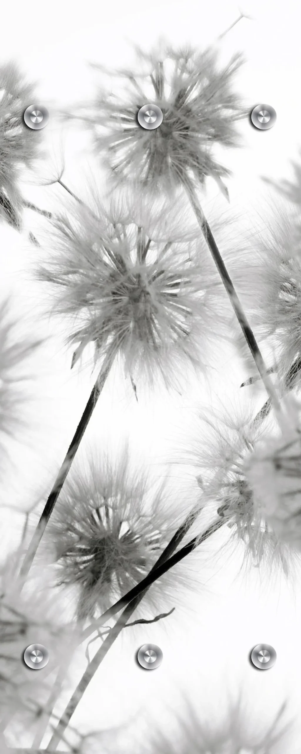 queence Garderobenleiste »Blüte« mit 6 Haken, 50 x 120 cm
