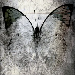 queence Leinwandbild »Butterfly« Abstrakt | Kunst | Schmetterlinge mit einem Schattenfugenrahmen veredelt
