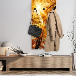 queence Wandgarderobe »Herbst Sonnenaufgang im Wald« 1 Stk. tlg. Wandpaneel aus Acrylglas inkl. 6 Edelstahlhaken in schwarz matt