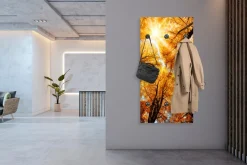 queence Wandgarderobe »Herbst Sonnenaufgang im Wald« 1 Stk. tlg. Wandpaneel aus Acrylglas inkl. 6 Edelstahlhaken in schwarz matt