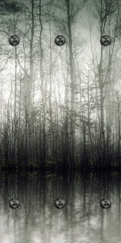 queence Wandgarderobe »Nebeliger Wald« 1 Stk. tlg. Wandpaneel aus Acrylglas inkl. 6 Edelstahlhaken in schwarz matt