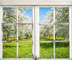 queence Wandsticker »Wiese mit Bäumen« Wandsticker, Wandbild, selbstklebend, 3D, Fenster
