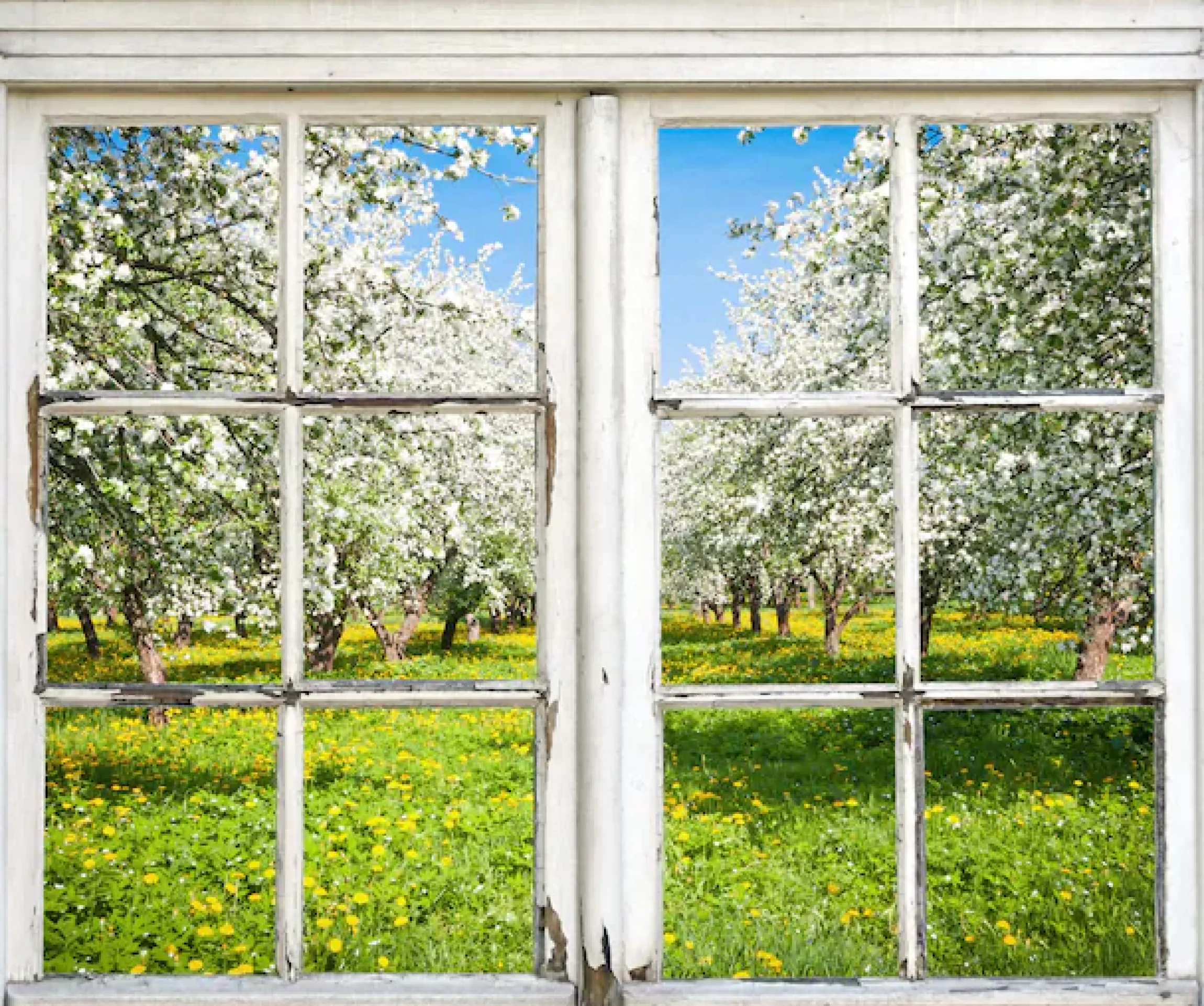 queence Wandsticker »Wiese mit Bäumen« Wandsticker, Wandbild, selbstklebend, 3D, Fenster