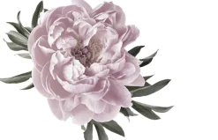 queence Wandtattoo »Amelie« Wandbild, Sticker, rosa, Blume, Blüte, selbstklebend
