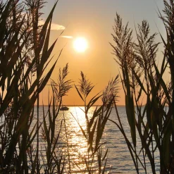queence XXL-Wandbild »Akustikbild Seelandschaft Gräser« Bilder vom Sonnenuntergang & -aufgang | Gräser | Natur | Romantisch | See | Seebilder | Seelandschaft 1 Stk. tlg. Einfache Akustiklösung ohne Baumaßnahme, Schalldämmung, Paneele
