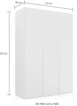 rauch Drehtürenschrank »Kleiderschrank Schrank Garderobe Wäscheschrank PURISMA« in den Breiten 151/201/251/301 cm, inkl. SOFT-CLOSE-FUNKTION,schlichte Eleganz, mit umfangreicher Innenausstattung MADE IN GERMANY