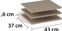 rauch Einlegeboden »Zubehör für Schränke der Serie MINOSA Schranktiefe 41 cm« 2er-Set Breite 43 cm, Tiefe 37 cm