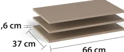 rauch Einlegeboden »Zubehör für Schränke der Serie MINOSA Schranktiefe 41 bzw. 48 cm« 2er-Set Breite 66 cm, Tiefe 37 cm