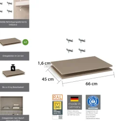 rauch Einlegeboden »Zubehör für Rauch-Drehtürenschränke ORANGE« 2er-Set Breite 66 cm, Tiefe 45 cm
