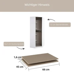 rauch Einlegeboden »Zubehör für Rauch-Drehtürenschränke ORANGE« 2er-Set Breite 66 cm, Tiefe 45 cm